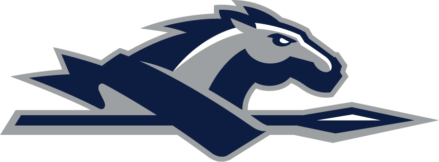 Longwood Lancers 2014-Pres Secondary Logo diy iron on heat transfer